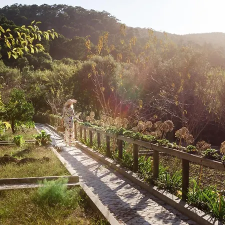 Casa Bohemia * Sintra